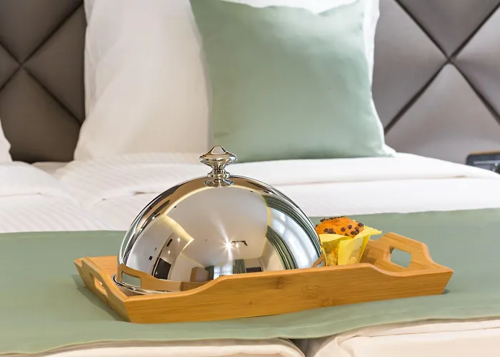 加尔尼首都酒店 酒店 4*